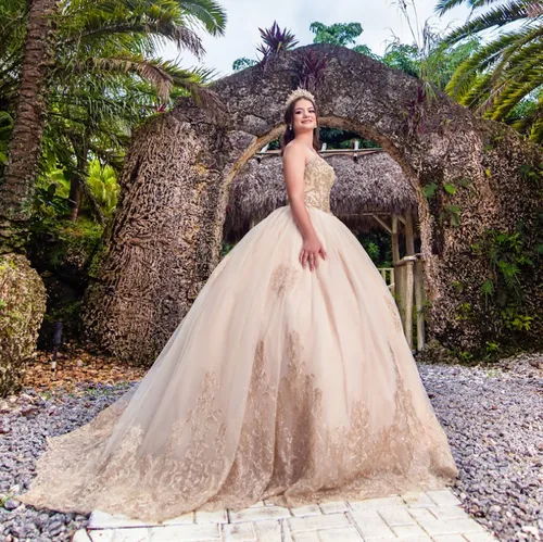 Quinceañera Champagne Dress 