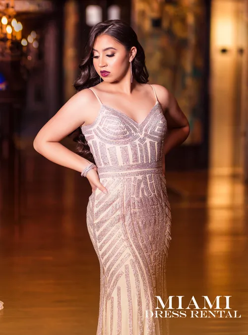 Elegant Champagne Dress