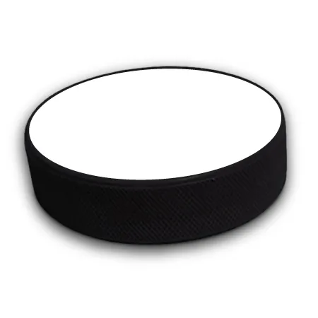 Hockey Puck