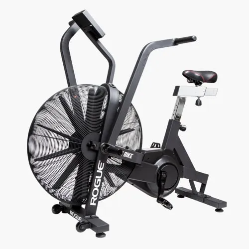Echo Bike