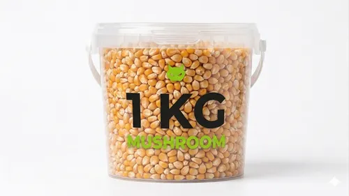 Maïs pour popcorn - 1 KG - Mushroom
