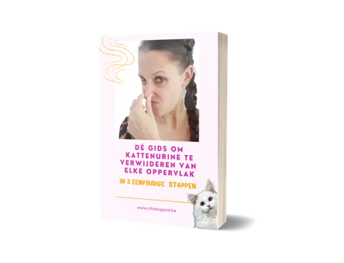 Dé gids om kattenurine te verwijderen van elke oppervlak- EBOOK