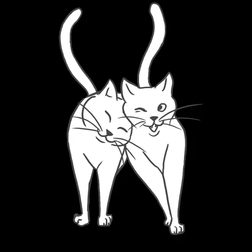 Basispakket 2 katten