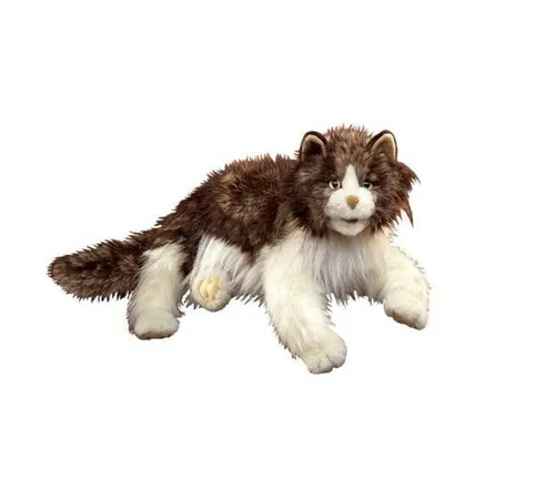 Oefenknuffel en Leeshulp Ragdoll