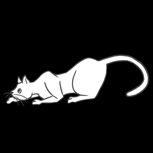 All-inclusive pakket 1 kat