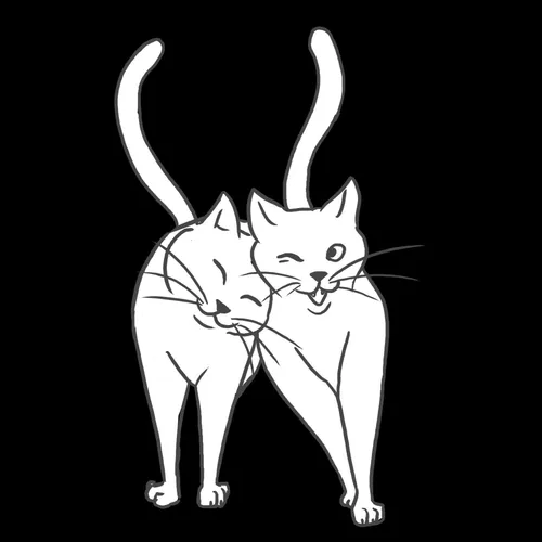 All-inclusive pakket 2 katten