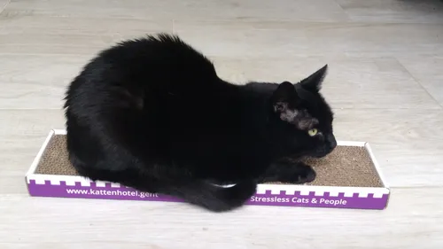 Krabkarton Chat-o-Resort