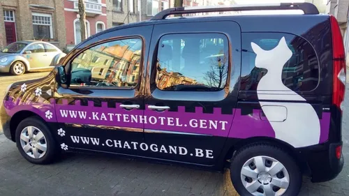 Kattentaxi rit Chat-o-Voiture