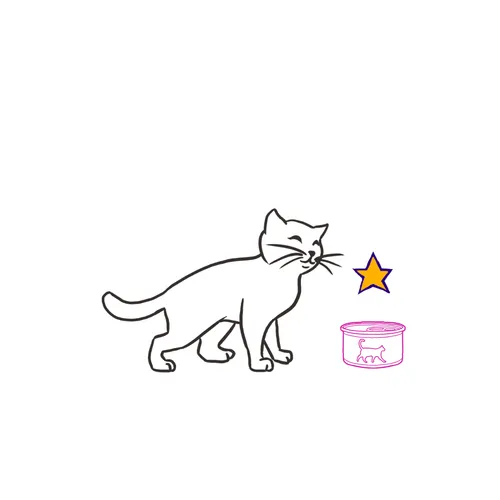 Feline Fit Essential