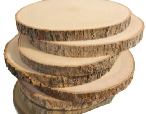 Wood- Wood Slice 8-9 inches