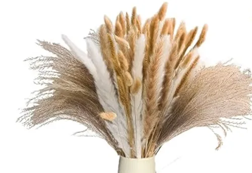 Florals- Pampas Grass, small 17