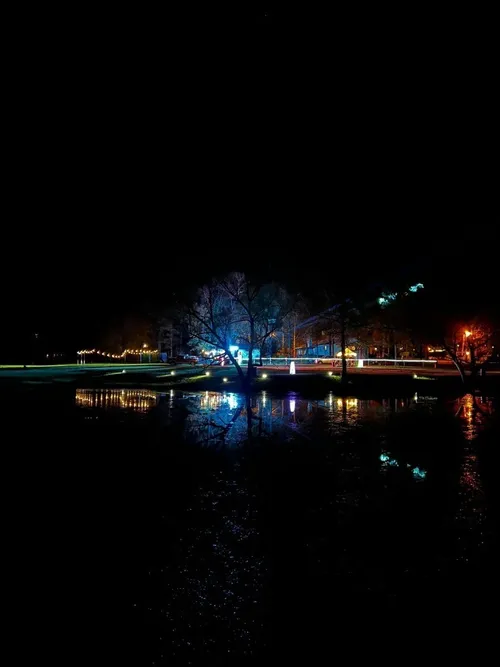 Lights- Solar String Lights 60 ft S14 Commercial Grade