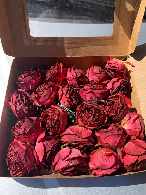 Passion Collection- Burgundy flowers - 1 Box 