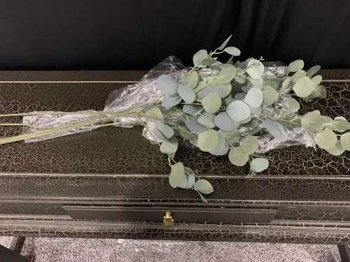 Florals- Greenery- Eucalyptus Stems- Long