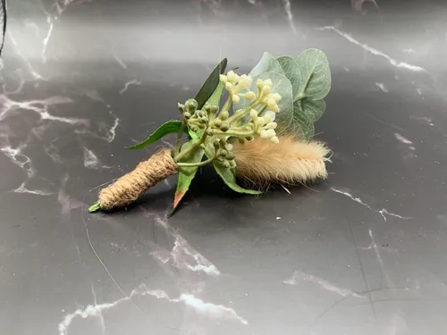 Boutonniere- Pampas Grass with Greenery Boutonniere