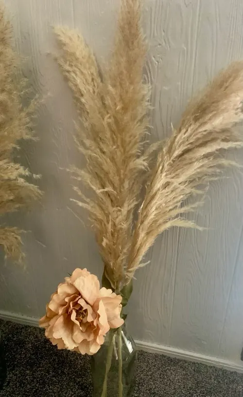 Florals- Pampas Grass, Fluffy, 38”