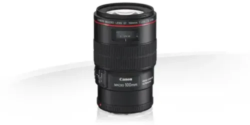CANON 100mm MACRO LINEA L f2.8 - FF (67ø)  