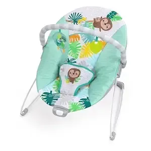 Baby Bouncer