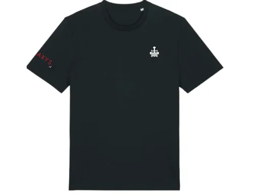 Tee-Shirt (Logo manche)