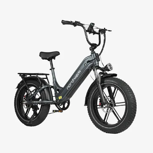 Camel Electric Bike Grey