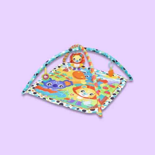 Baby Gym Play Mat Hire