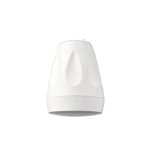 Cloud CVS-P62TW Pendant Speaker 