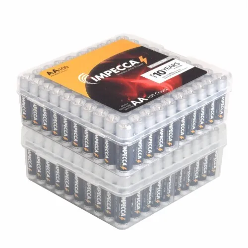100 AAA Battery Case