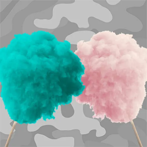 Suikerspin - 100 porties