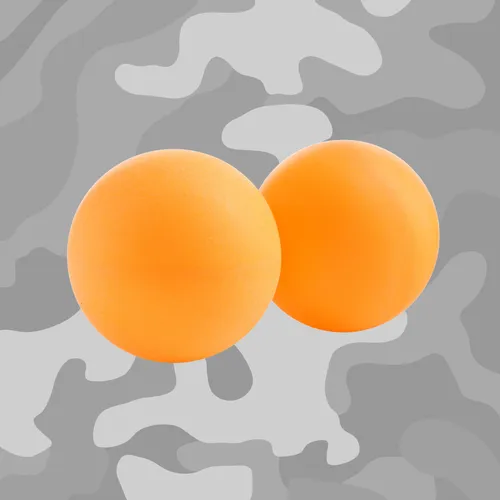 2 Beerpong Balletjes 