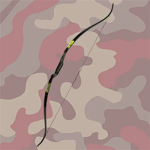 Pijl & boog schieten