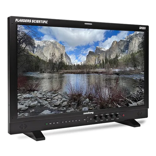 Flanders Scientific DM211 (21.5 inches)