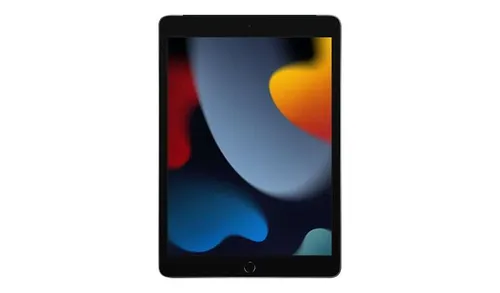 iPad 10.2 inch 64 Gb (Wifi / Cellphone)