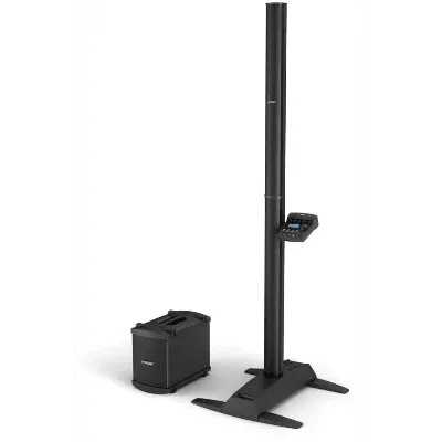 Bose L1 Model II with B1 Bass Module and T1 ToneMatch Mixer with Carrying Bags