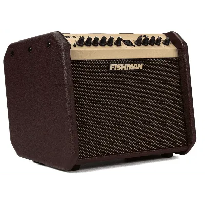 Fishman Loudbox Mini BT 60-Watt 1x6.5 Inches Acoustic Combo