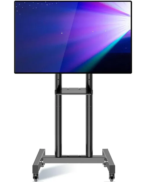 55-Inch Vizio Smart TV with Rolling Stand