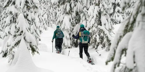 2 Person Snowshoe Tour