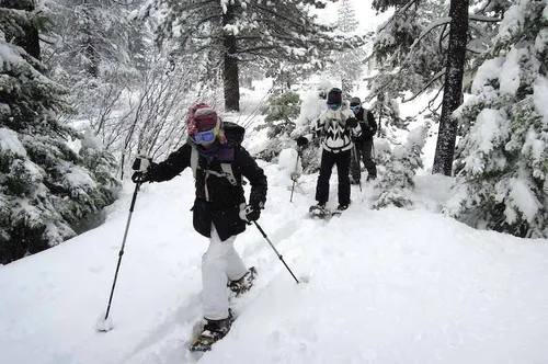 4 Person Snowshoe Tour
