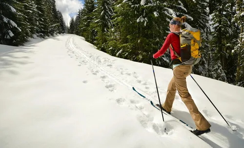 Nordic Back Country Ski Rental- shoe size 5 mens/ wmns 6