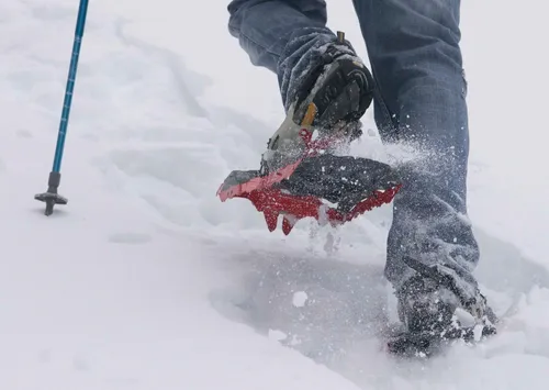 Snowshoe Rental (130-180lbs)