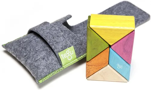 Portable Magnetic Toy Set (by Tegu)