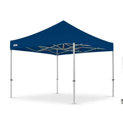  Popup Canopy - 10'x10'