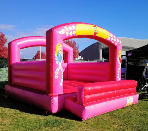 Princess Bouncy Castle