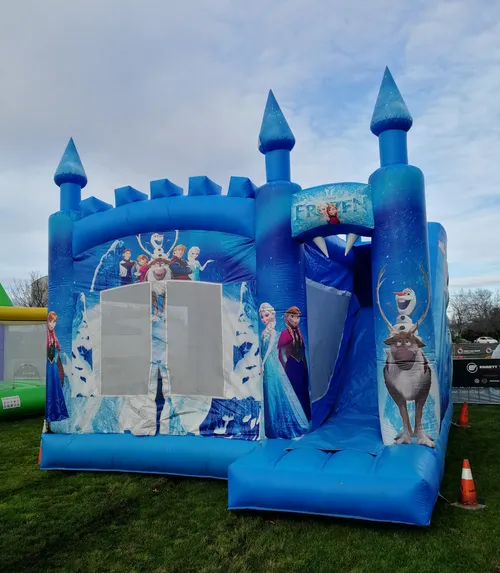 Frozen Castle with Slide