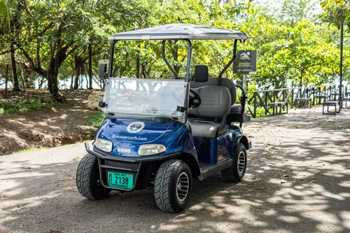 Samara 4 Person Electric Golf Cart