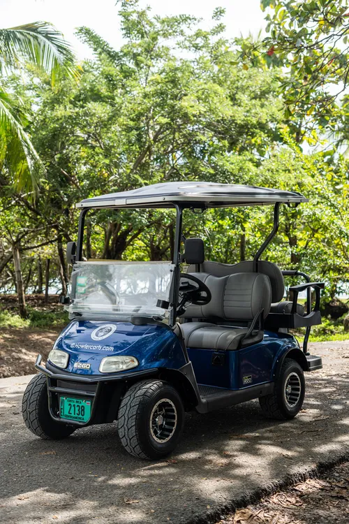 Samara 4 Seat Electric Golf Cart