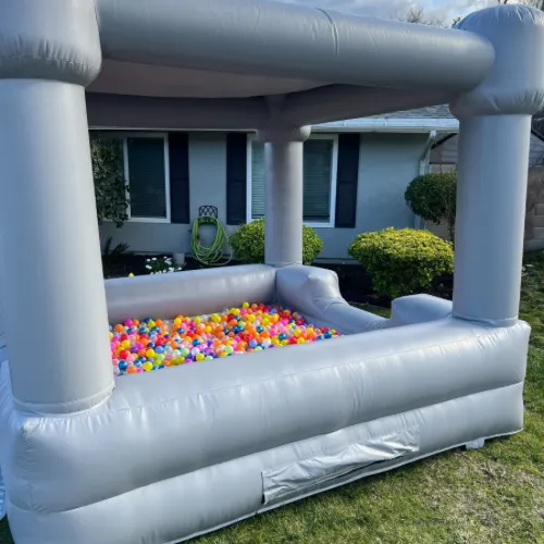 Large Ball Pit w/Shade