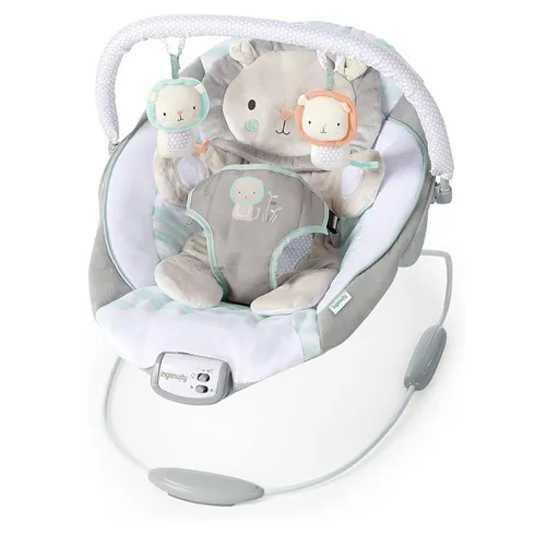 Ingenuity Baby Bouncer