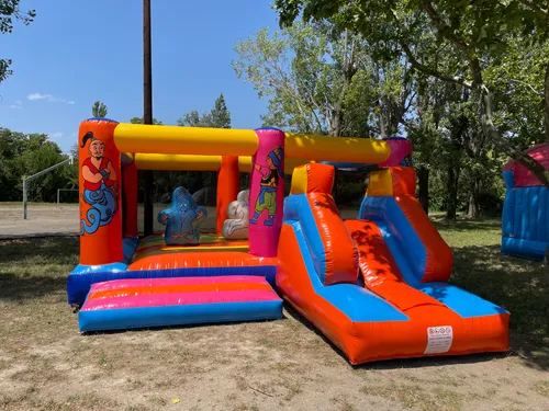 Jeux Gonflable Aladin 5,5mx6m Hauteur 3m