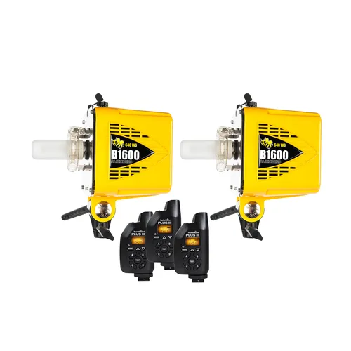 Alienbee 1600s Light Kit