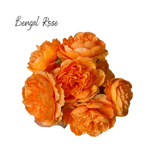 Bengal Rose (Orange)